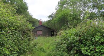 a wooden hut in the trees