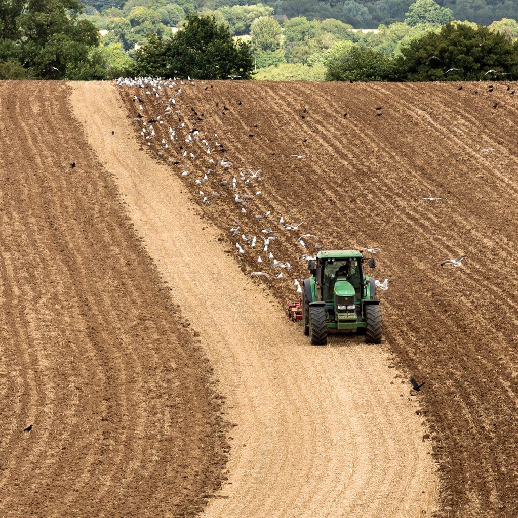 ploughing stubble google image