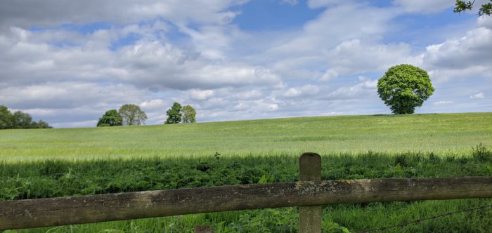 Image of Allesley Green green belt