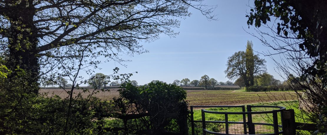 image of Allesley Green green belt