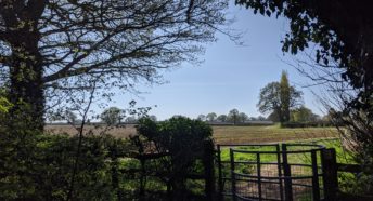 image of Allesley Green green belt