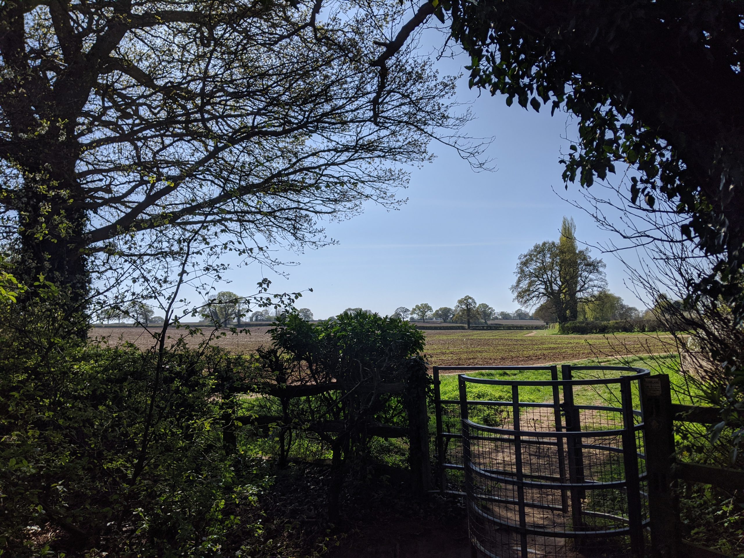 image of Allesley Green green belt