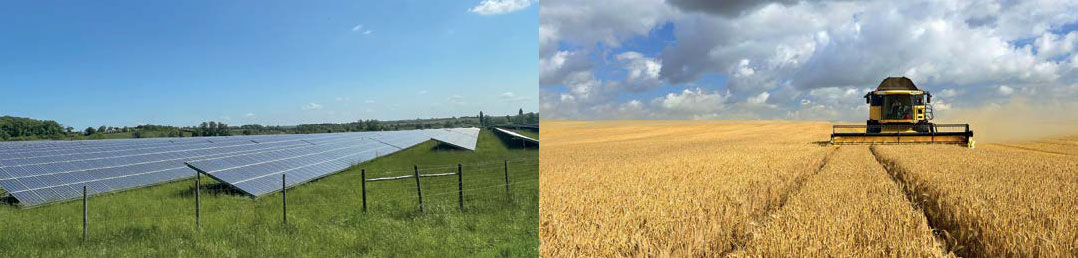 solar farm vs food farm